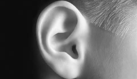 ear